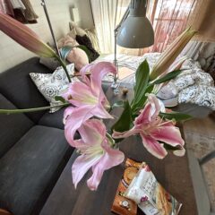 何かを変えると何かが変わる